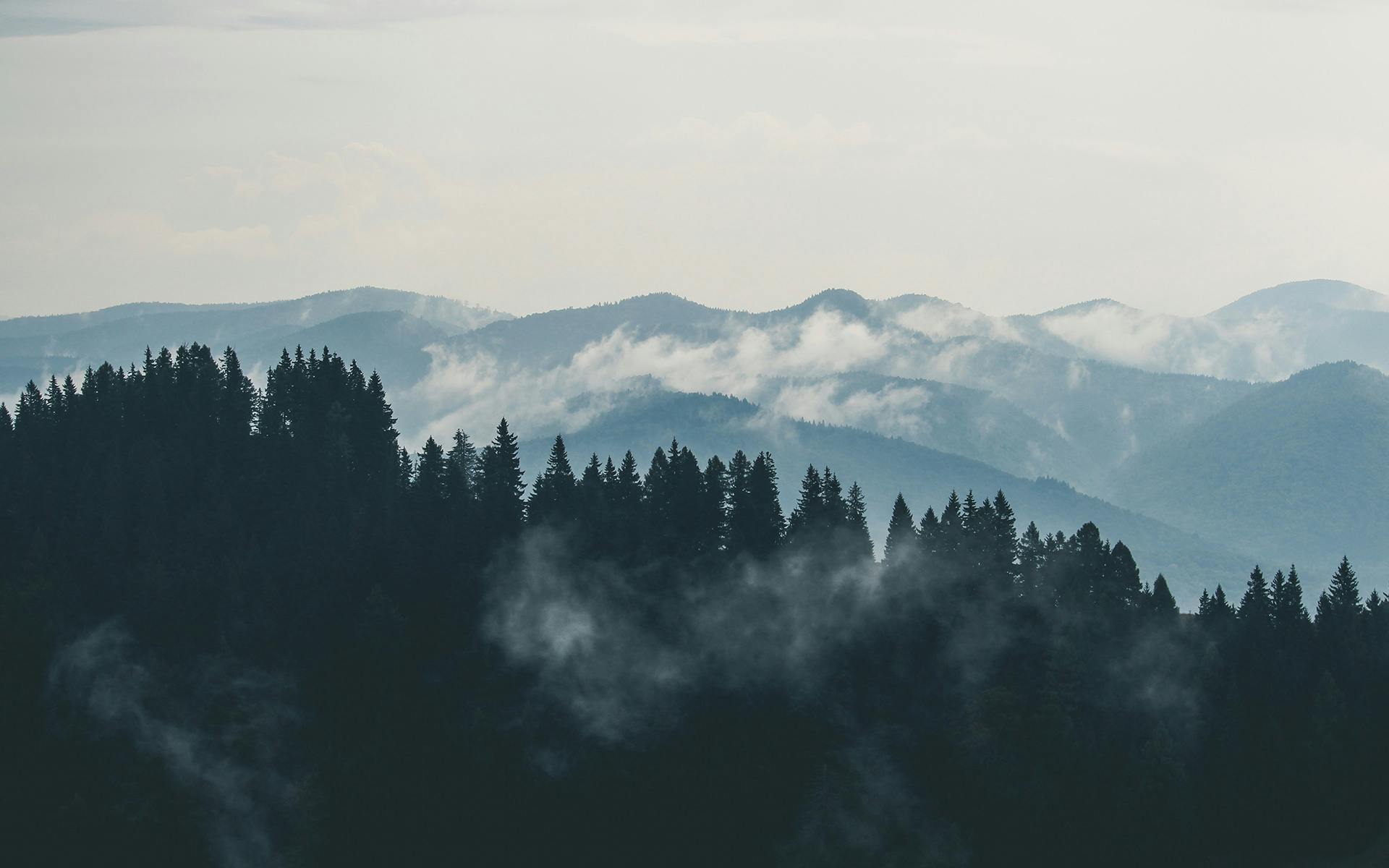 Mountain landscape with clouds and forest fog